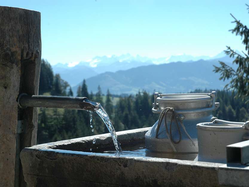 Napfmilch Hergiswil